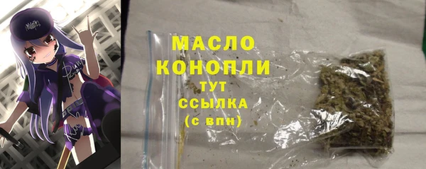 дживик Бородино
