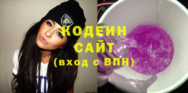 шишки Верхний Тагил
