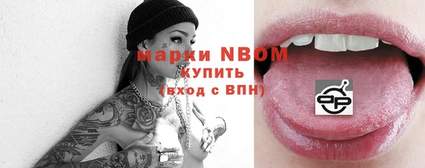 дживик Бородино