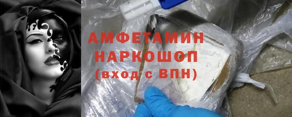 шишки Верхний Тагил
