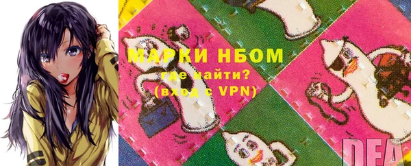 шишки Верхний Тагил