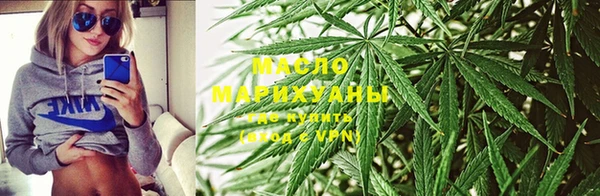 шишки Верхний Тагил
