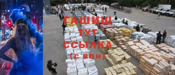 шишки Верхний Тагил