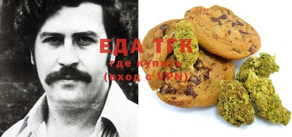 дживик Бородино