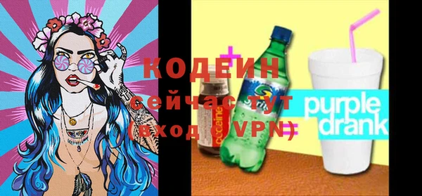 шишки Верхний Тагил