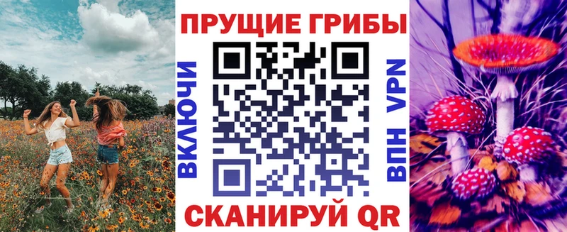 сайты даркнета состав  наркота  Гусев  Псилоцибиновые грибы мухоморы 